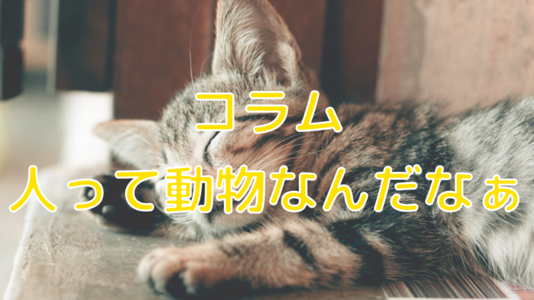 人って動物