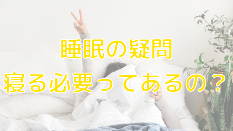 睡眠の疑問：なんで寝る必要があるの？